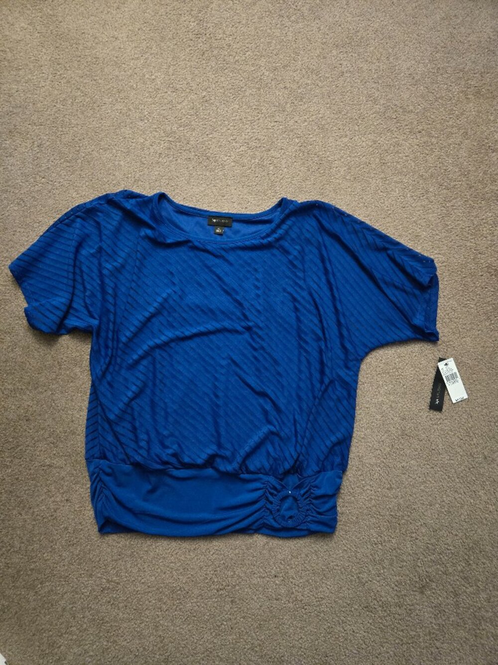 AB Studio Women's Textured Knit Blouse in Sapphire Size XL